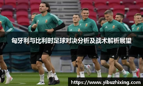 匈牙利与比利时足球对决分析及战术解析展望